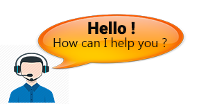 Support Agent